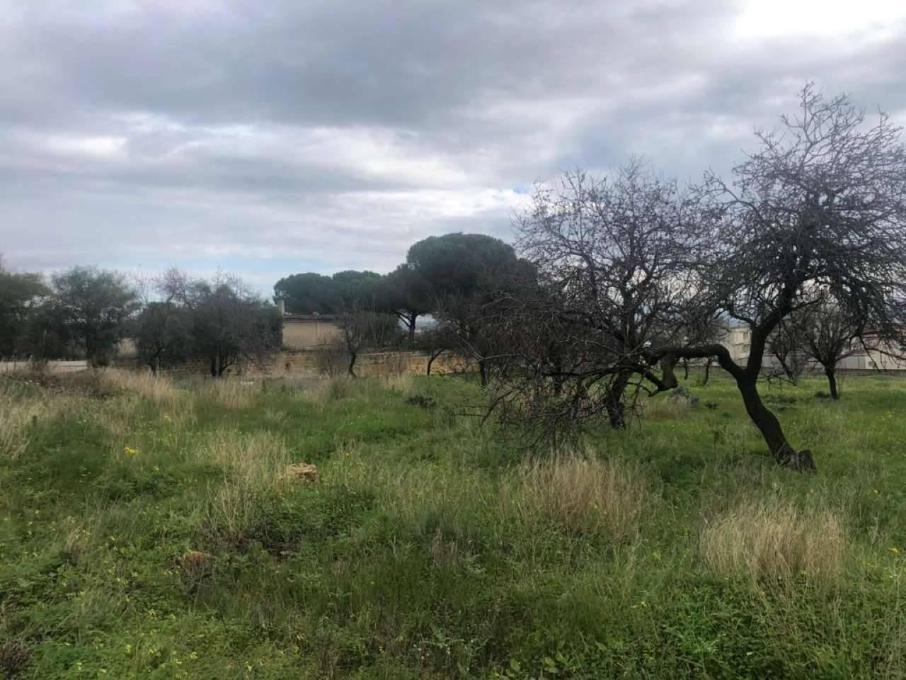 immagine annuncio 2 di 6