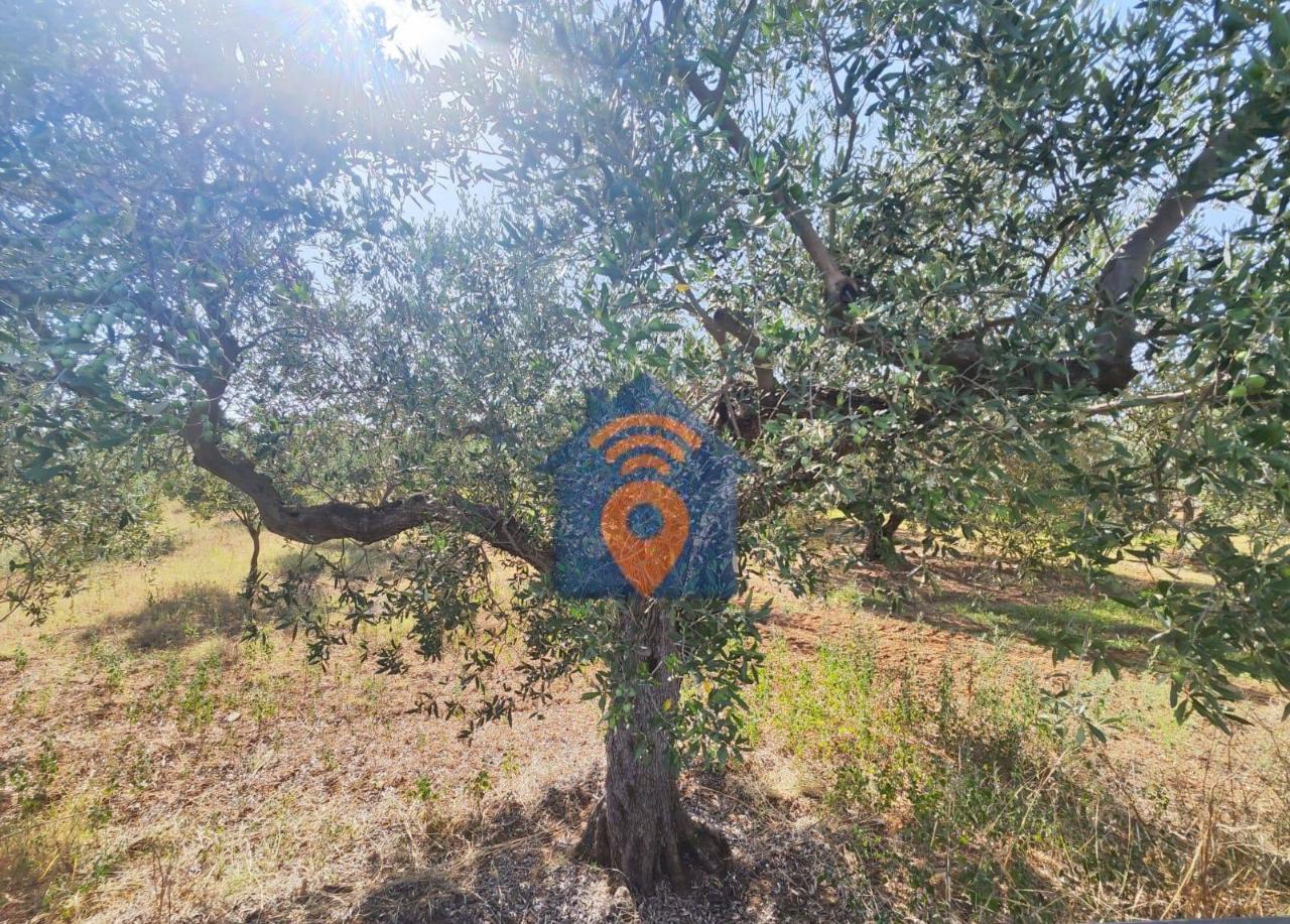 immagine annuncio 2 di 4