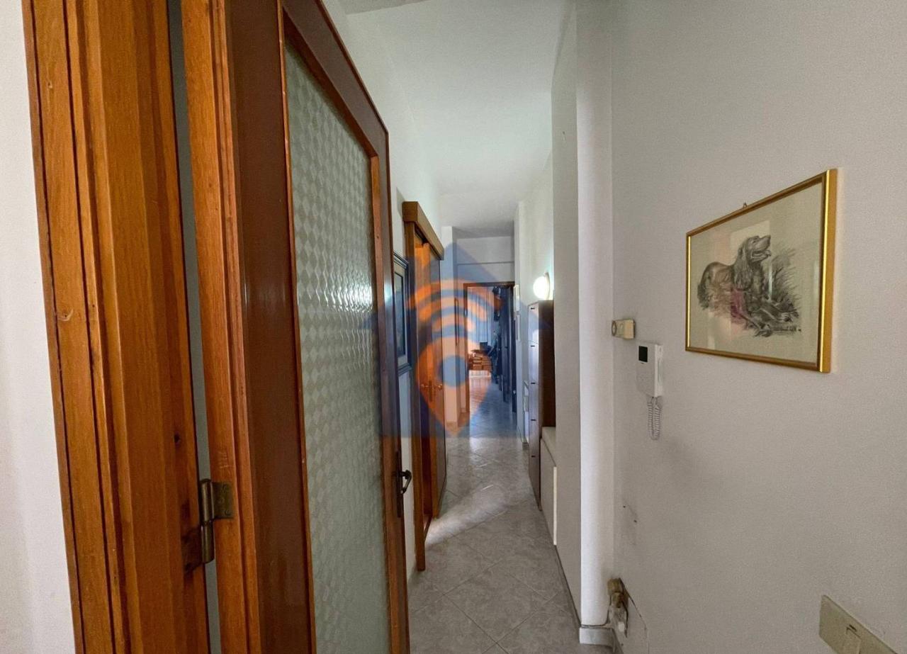 immagine annuncio 7 di 14