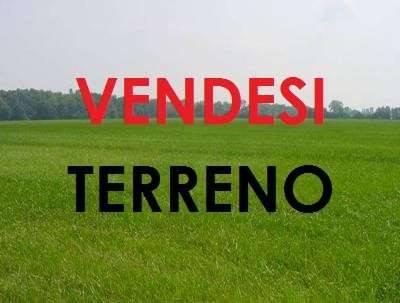 Terreno agricolo, Mazara del Vallo - Foto 1