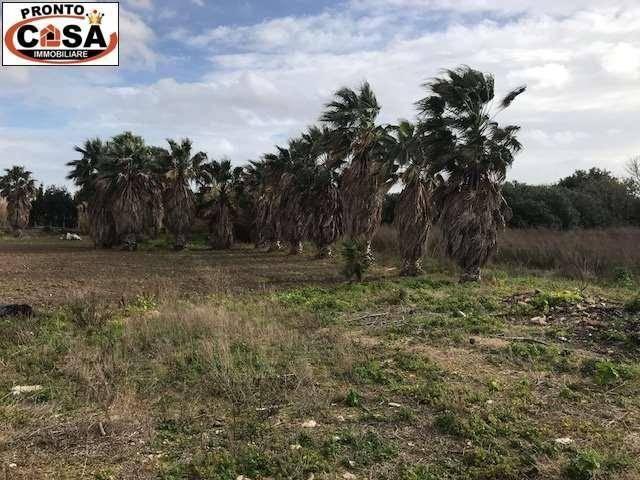 Terreno agricolo, Marsala - Foto 1