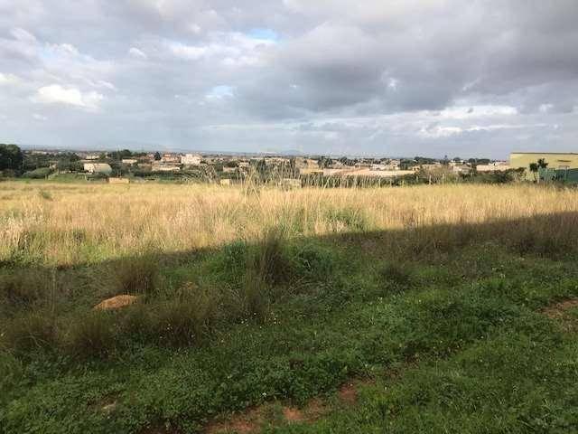 Terreno agricolo, Marsala - Foto 1