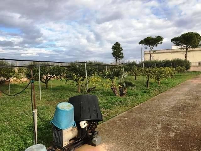 immagine annuncio 11 di 15