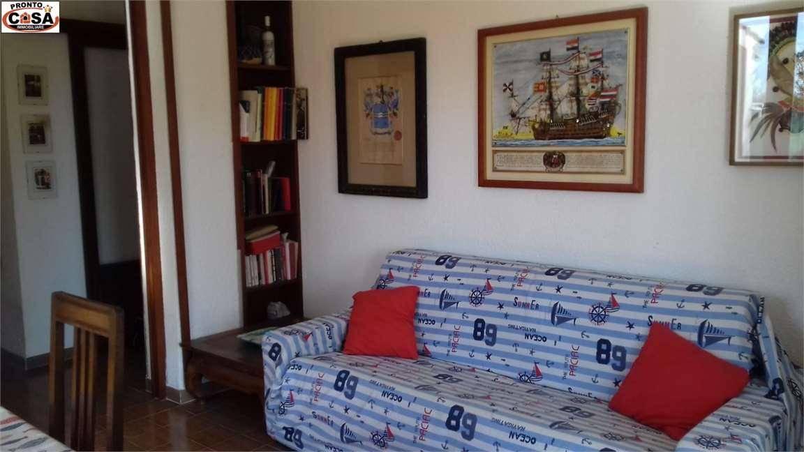 immagine annuncio 6 di 12