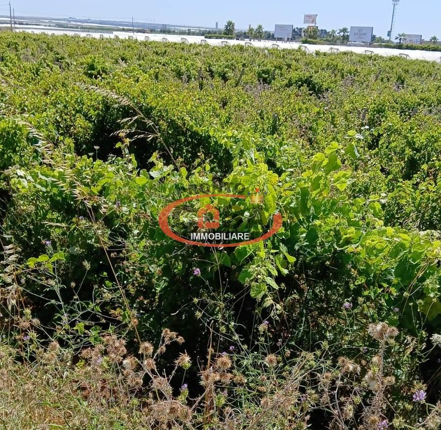 immagine annuncio 1 di 4