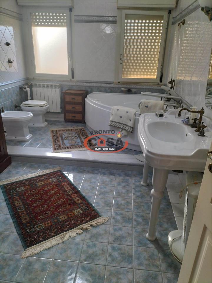 immagine annuncio 11 di 14