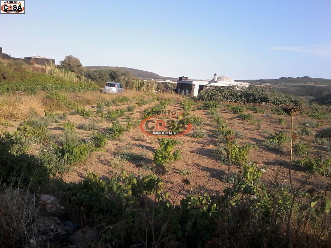 immagine annuncio 6 di 8