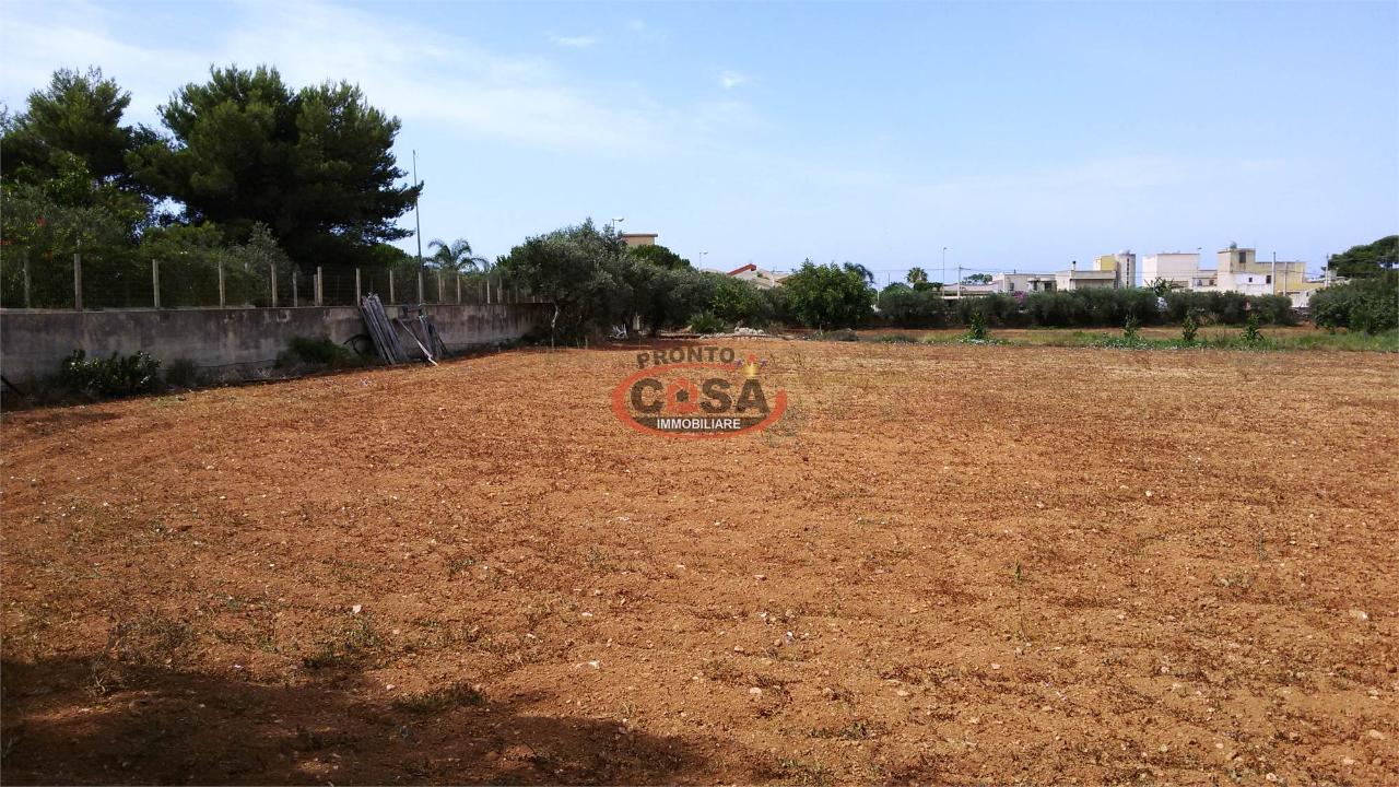 immagine annuncio 5 di 10