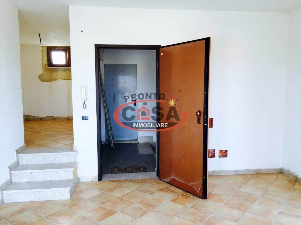 immagine annuncio 5 di 14
