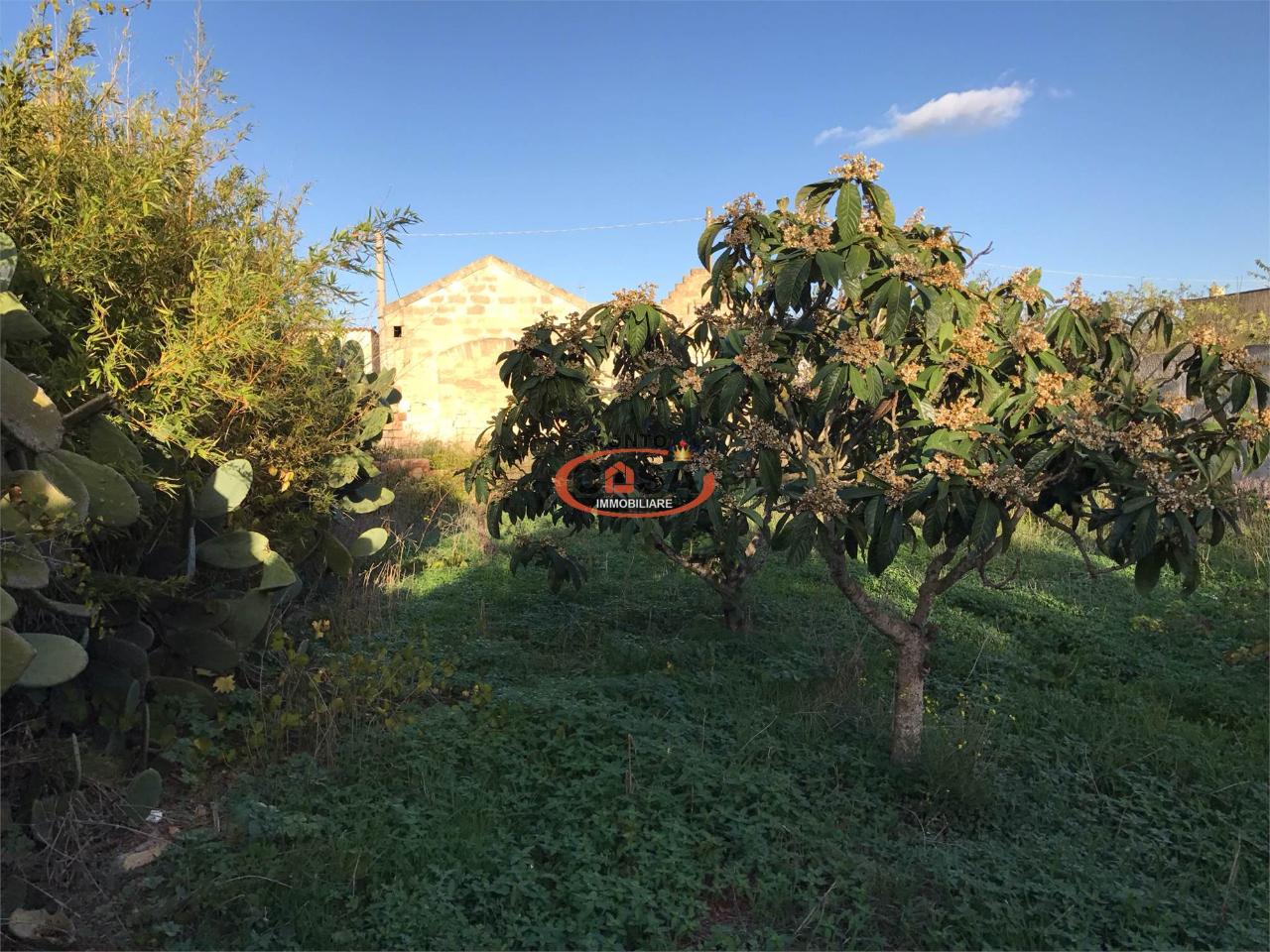 immagine annuncio 4 di 12