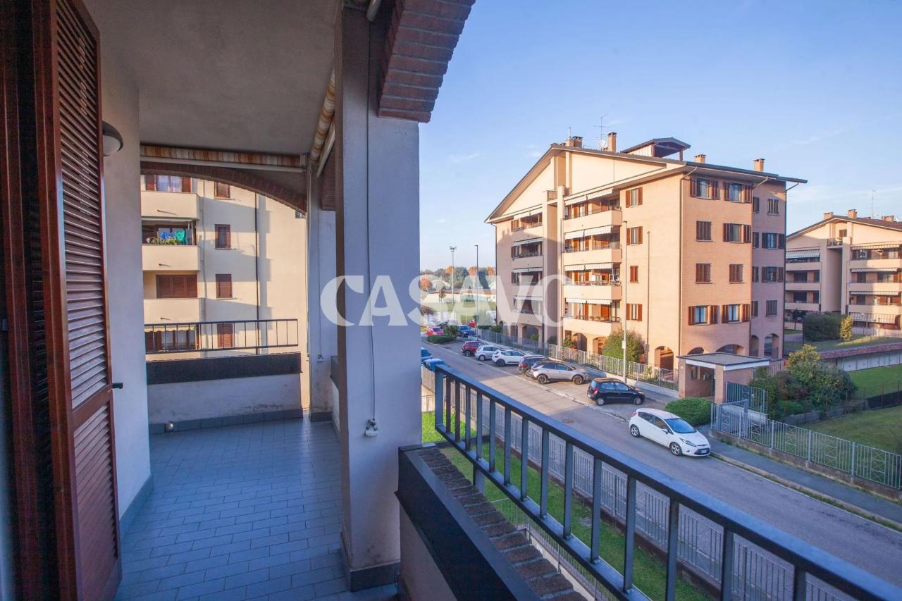 immagine annuncio 8 di 15