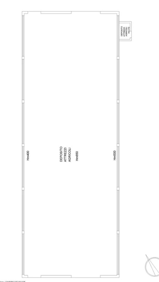 immagine annuncio 5 di 8