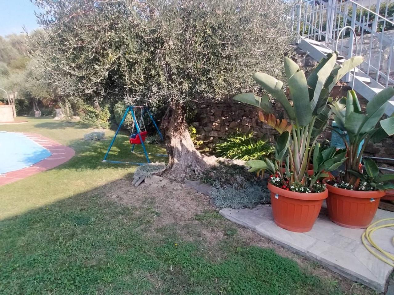 immagine annuncio 9 di 13