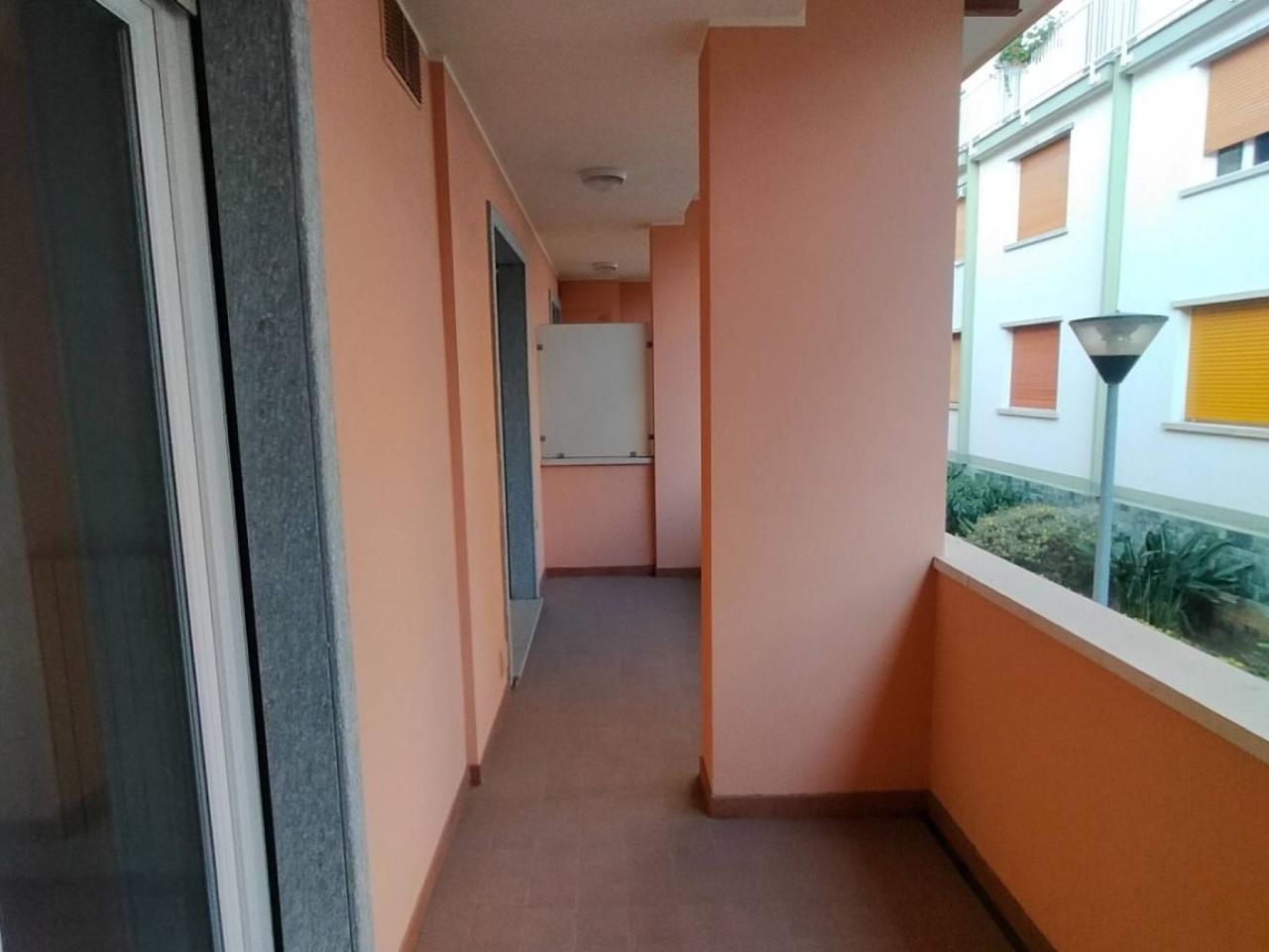 immagine annuncio 5 di 8