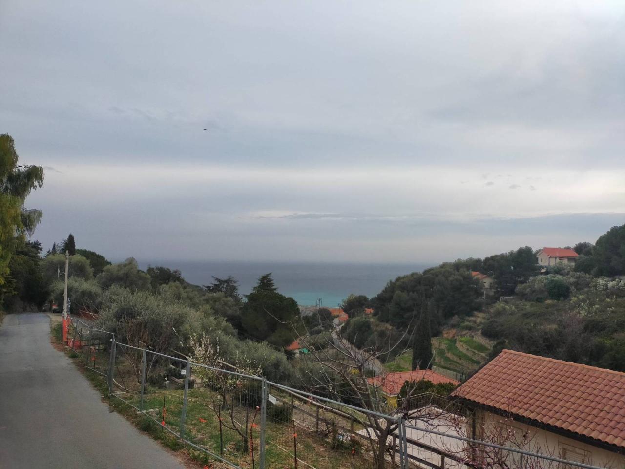 immagine annuncio 4 di 14