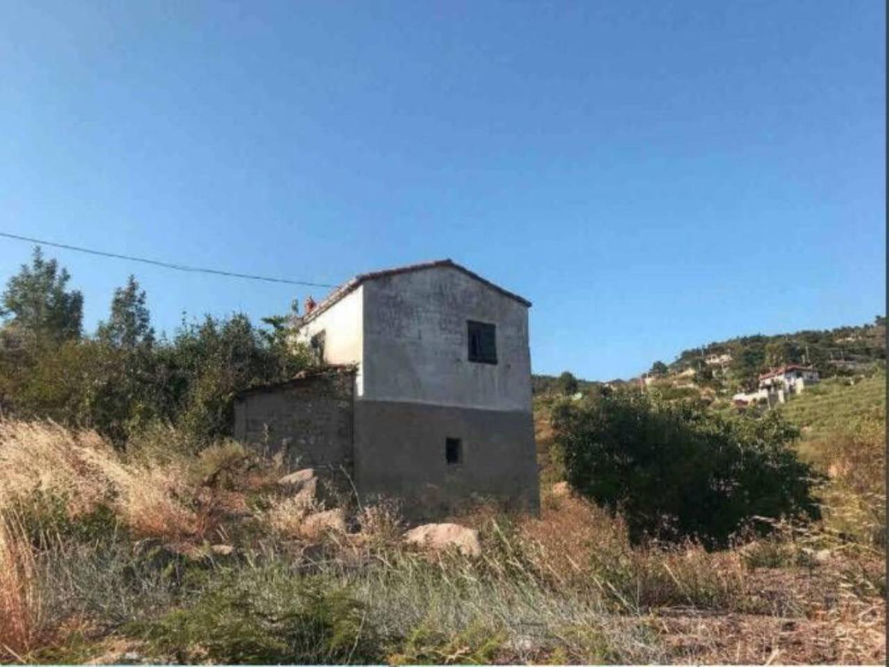 immagine annuncio 3 di 11