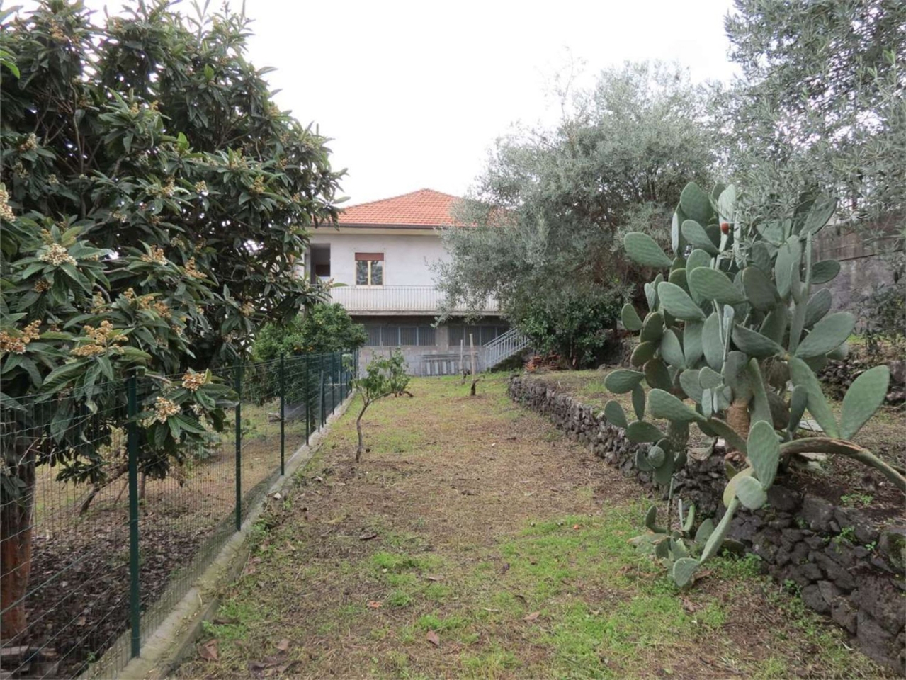 immagine annuncio 1 di 14