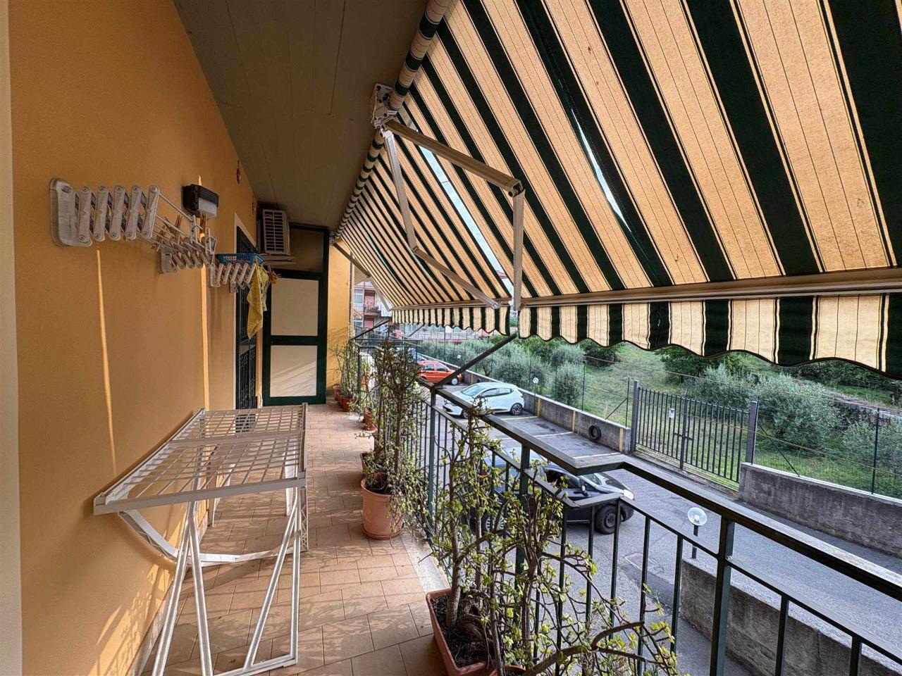 immagine annuncio 3 di 12