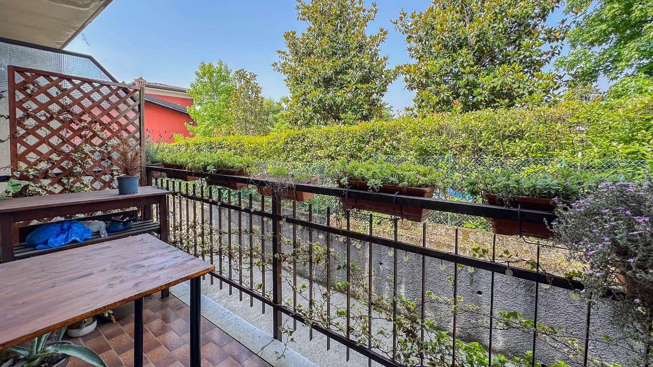 immagine annuncio 6 di 15