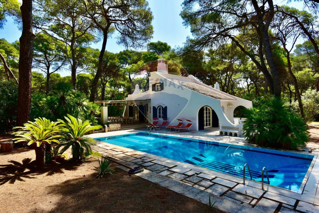 immagine annuncio 9 di 14