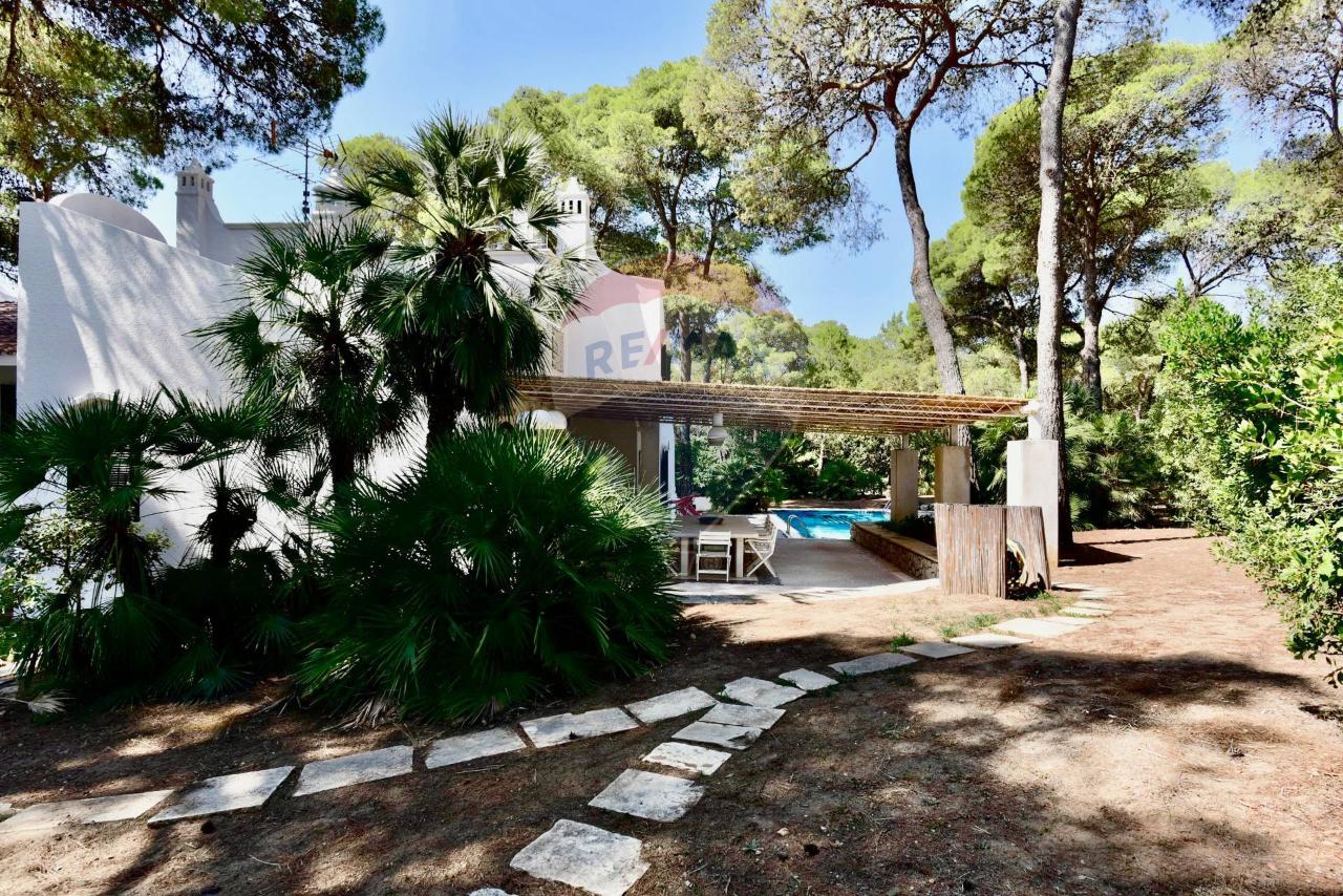 immagine annuncio 4 di 14