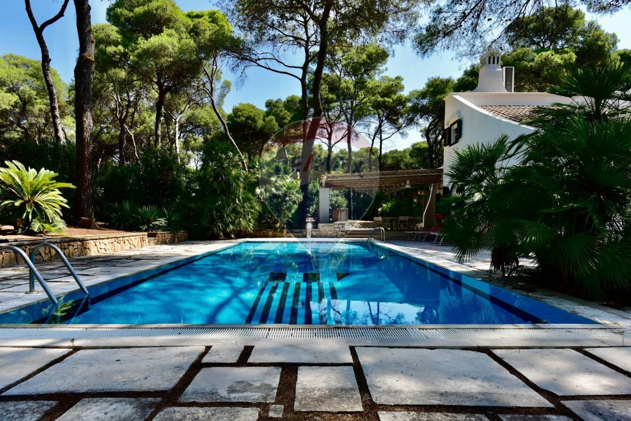 immagine annuncio 10 di 14