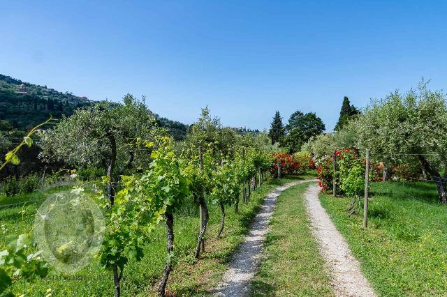 Country house or cottage in Case Sparse Cortona 32, Cortona - Photo 1