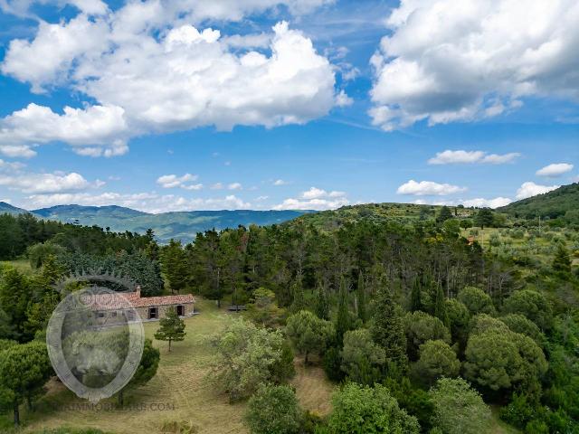 Country house or cottage in Case Sparse Ossaia 135, Cortona - Photo 1