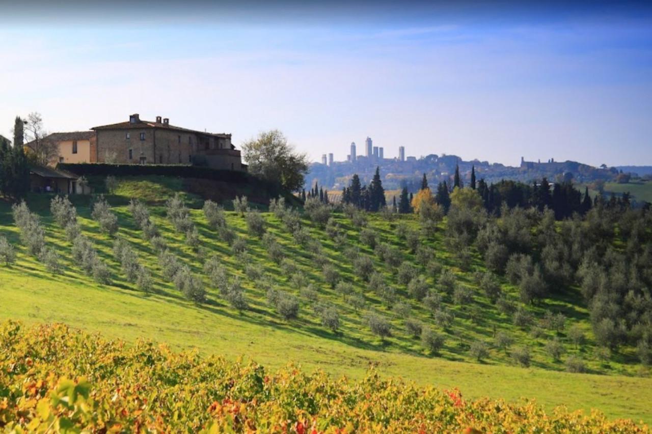 Azienda agricola in Montegonfoli, N. 23, San Gimignano - Foto 1