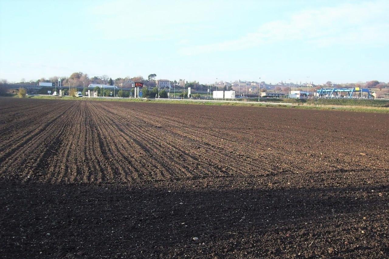 Terreno edificabile commerciale in vendita a Mondolfo