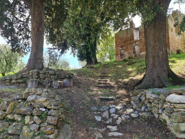 Rustico, San Gimignano - Foto 1