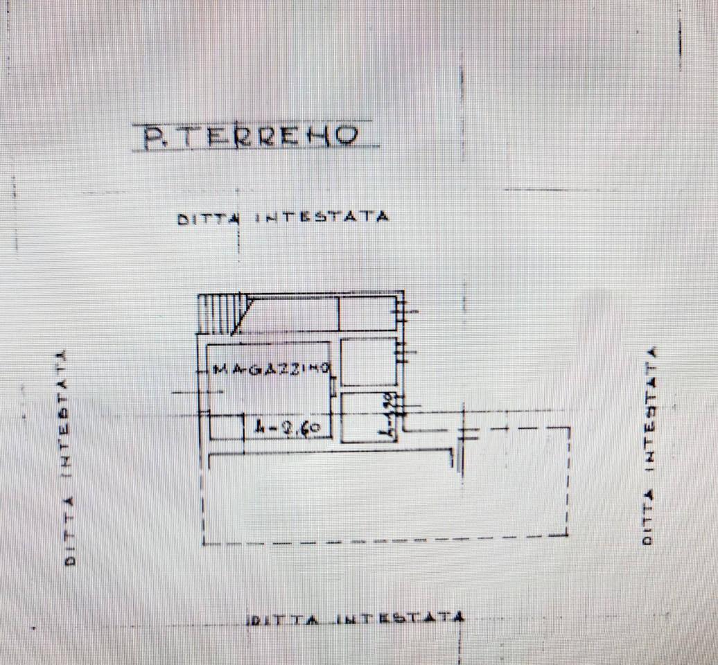 immagine annuncio 10 di 12