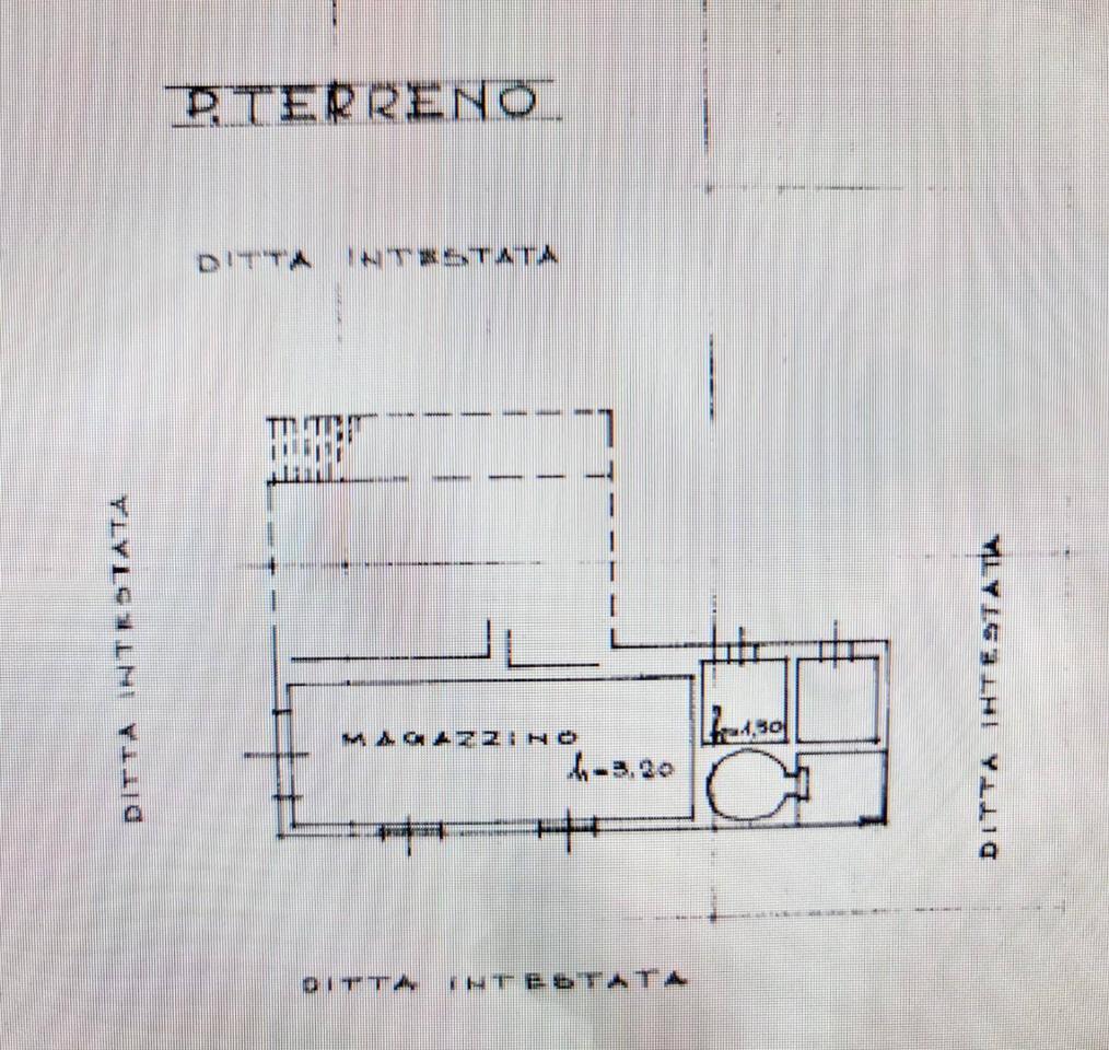 immagine annuncio 11 di 12