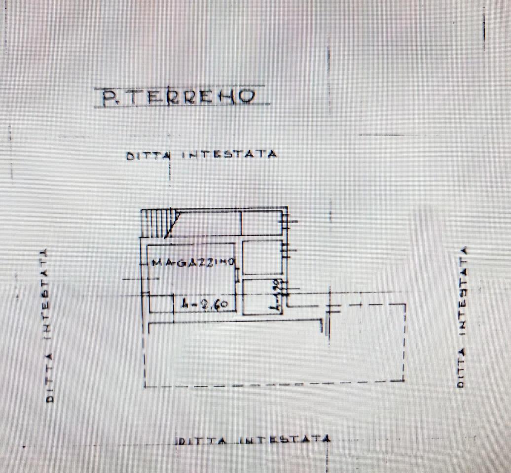 immagine annuncio 10 di 12