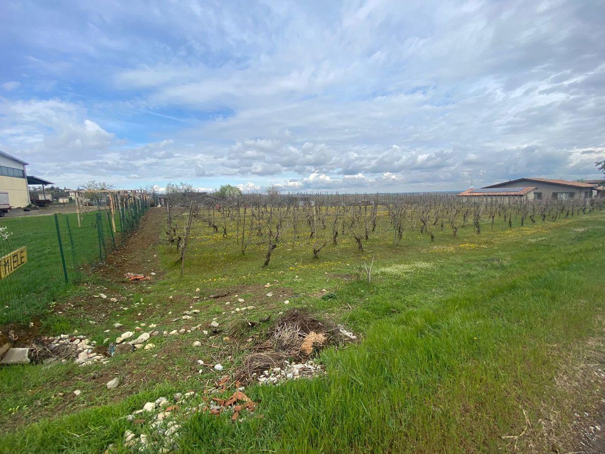 Terreno agricolo in vendita a Ziano Piacentino