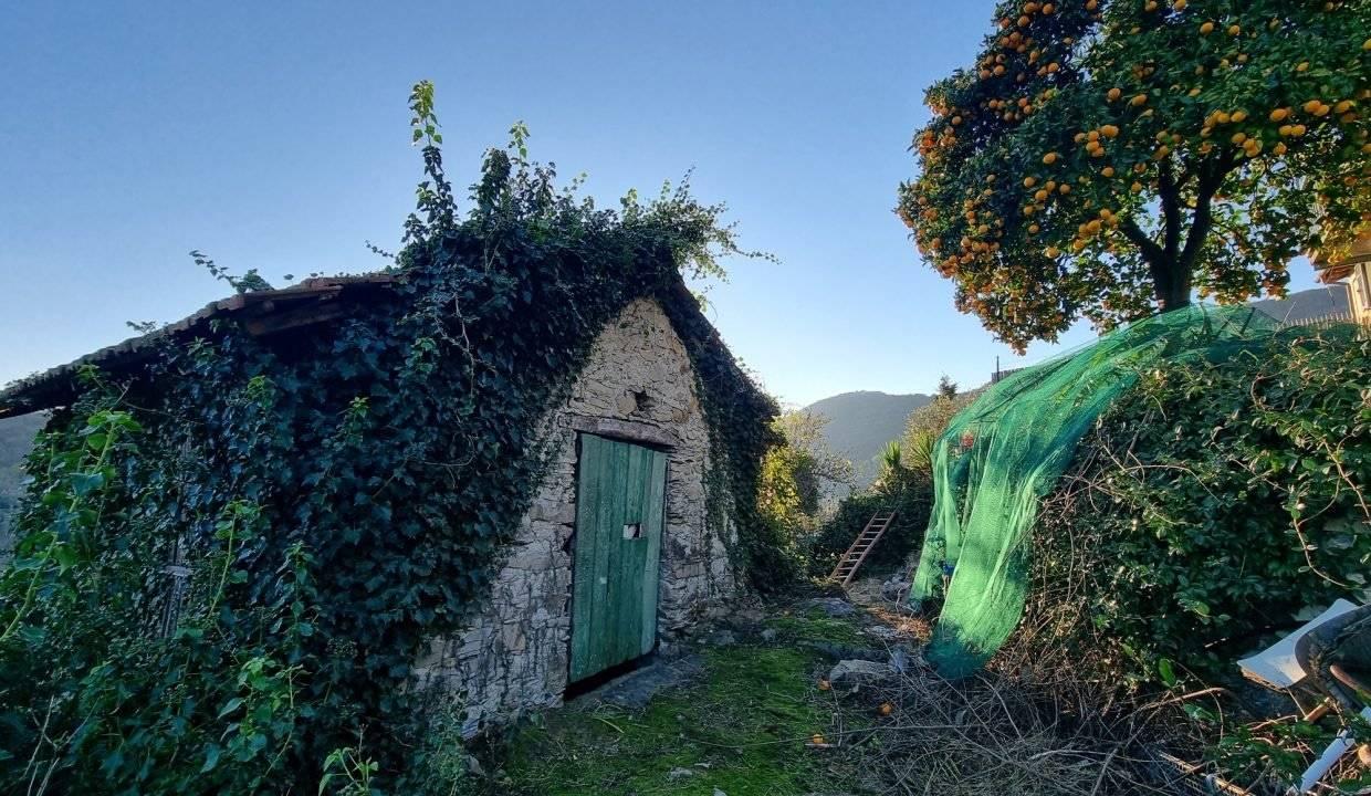 immagine annuncio 13 di 15