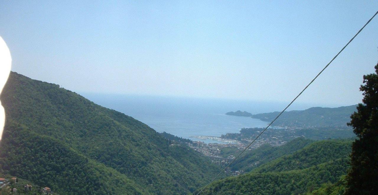 immagine annuncio 8 di 14