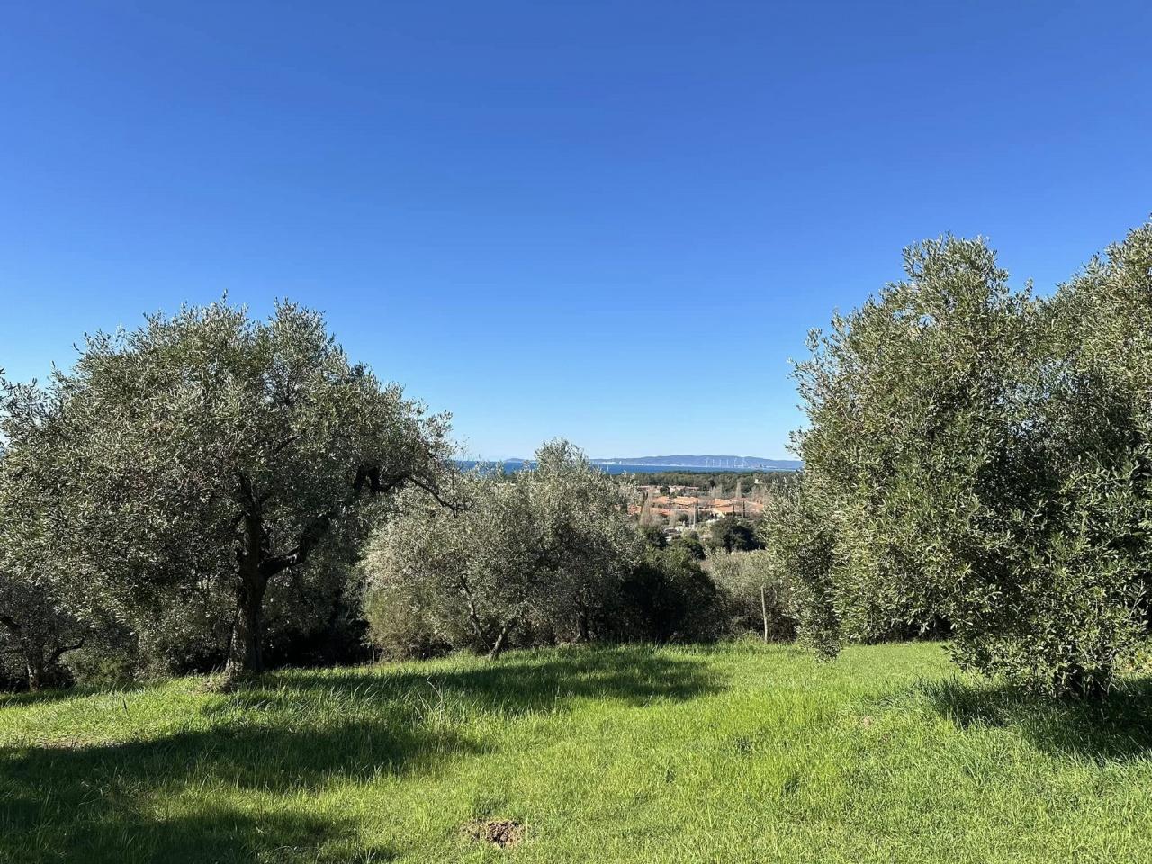 immagine annuncio 1 di 6