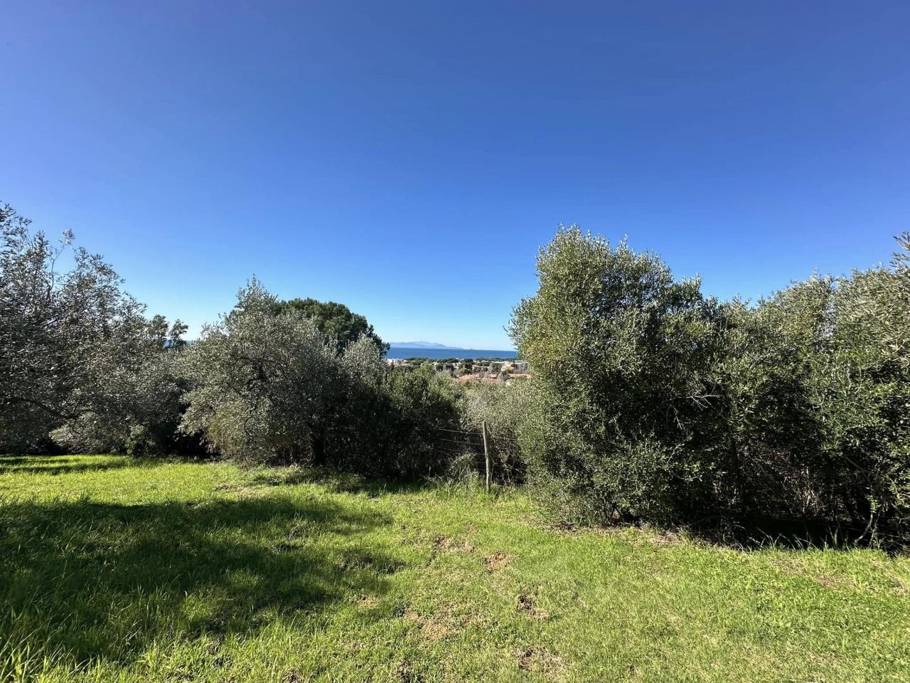 immagine annuncio 2 di 6