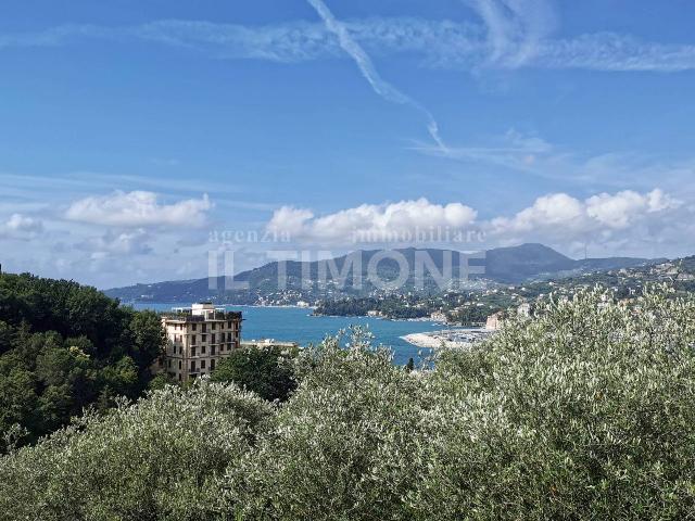 3-room flat in Via Privata Don Casella 16a, Zoagli - Photo 1