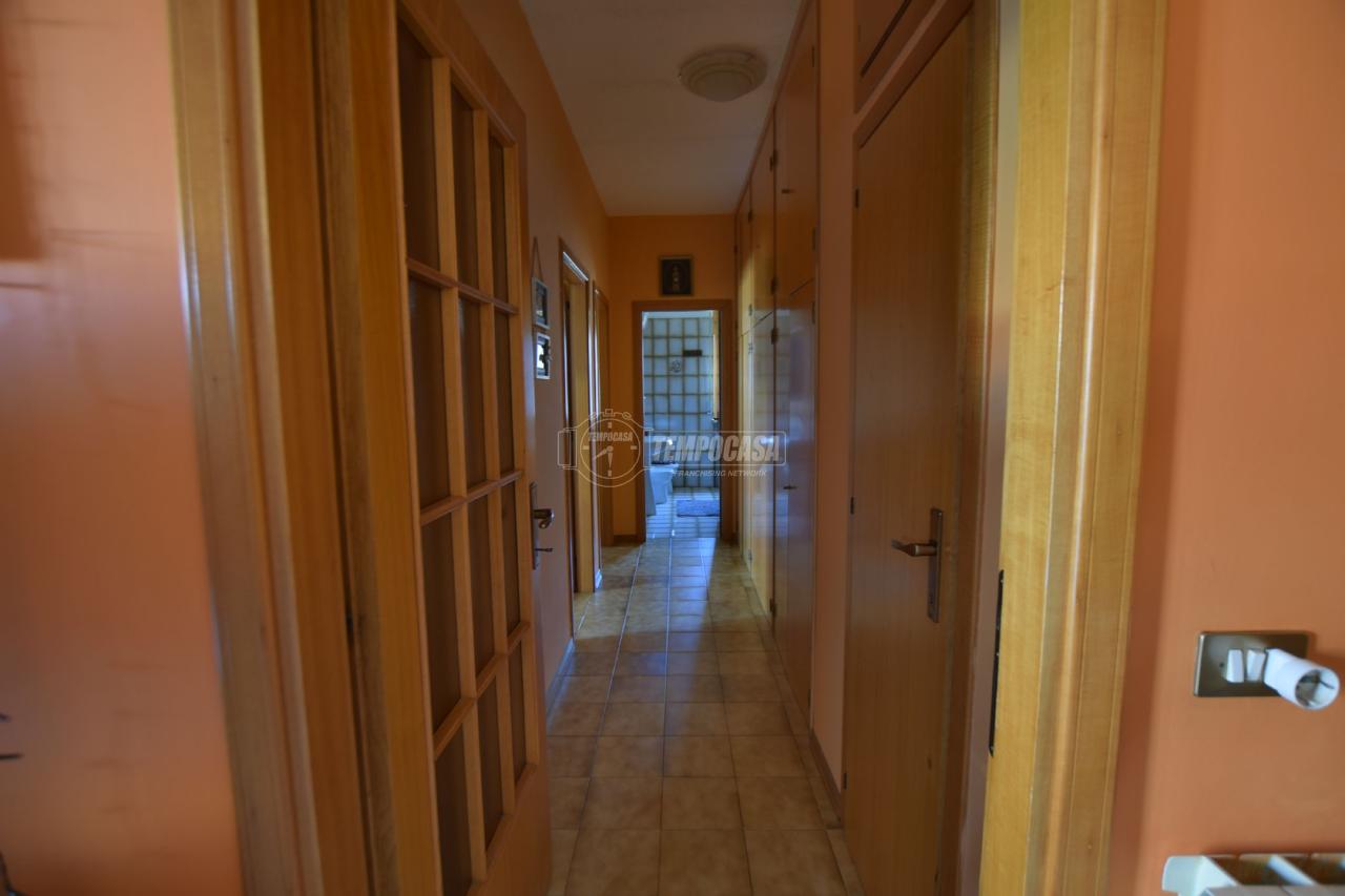 immagine annuncio 5 di 12