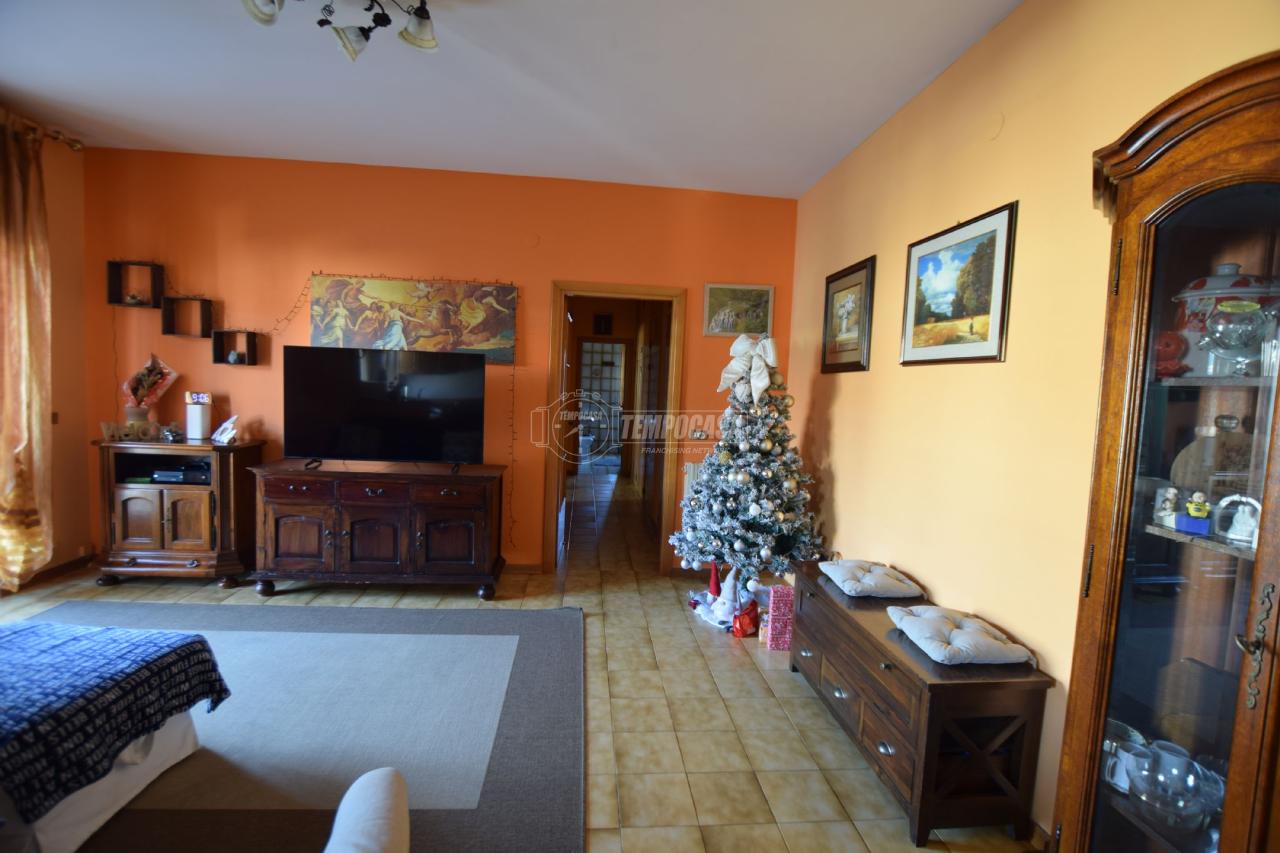 immagine annuncio 3 di 12