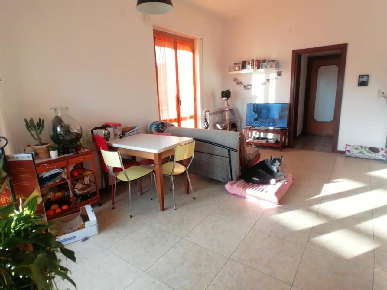 immagine annuncio 5 di 11