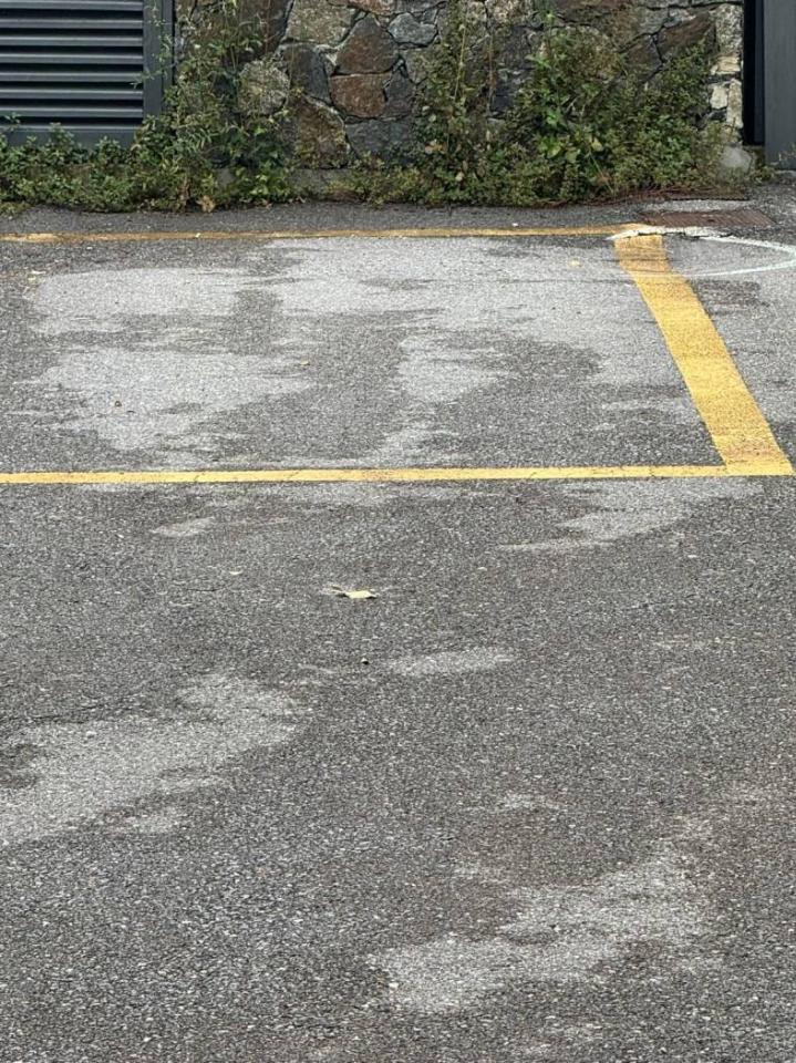 immagine annuncio 5 di 6