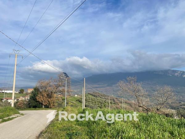 immagine annuncio 8 di 12