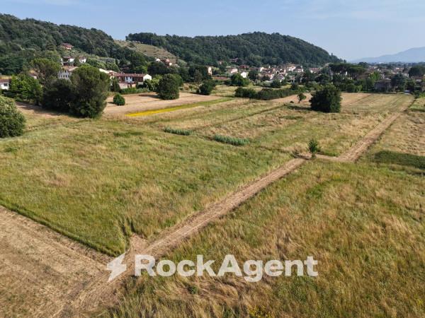 immagine annuncio 11 di 14