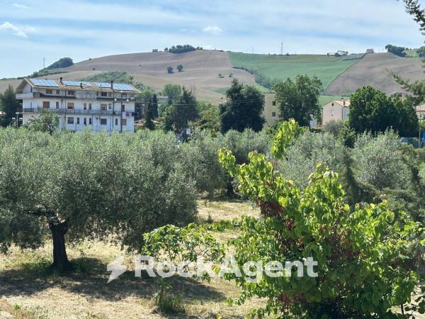 immagine annuncio 2 di 6