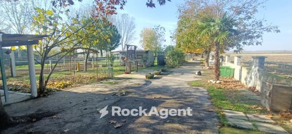 immagine annuncio 4 di 8