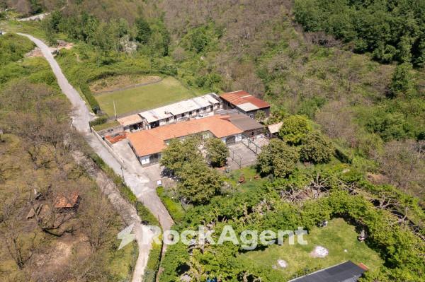 Podere - Tenuta in Via Senite, Scala, {3} - Foto 1