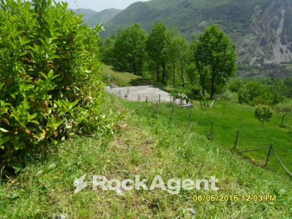 immagine annuncio 5 di 8